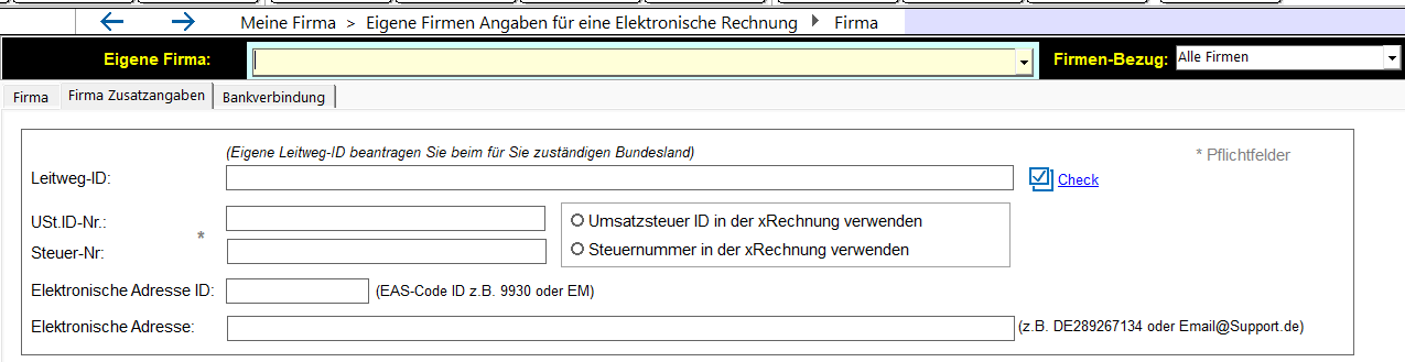 XRechnung 02 ReflexEinrichtenFirmaZusatzangaben.png